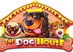 Cute cartoon dogs in front of a colorful doghouse, promoting fun and engaging pe.